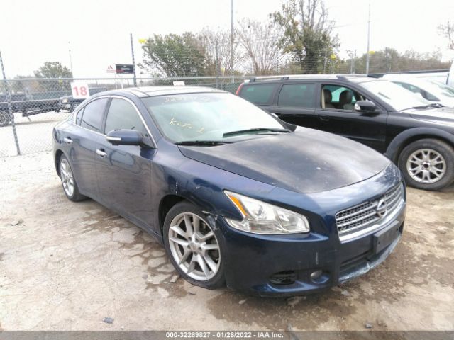 NISSAN MAXIMA 2011 1n4aa5ap1bc833923