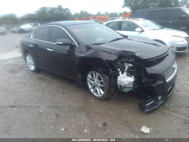 NISSAN MAXIMA 2011 1n4aa5ap1bc853444