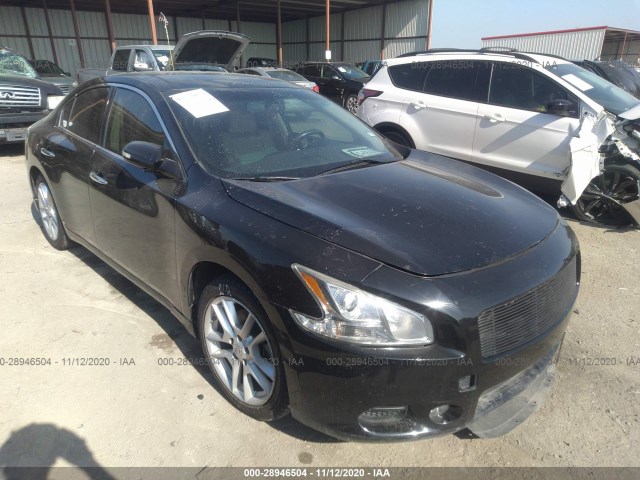 NISSAN MAXIMA 2011 1n4aa5ap1bc857218