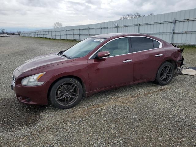 NISSAN MAXIMA 2013 1n4aa5ap1dc807003