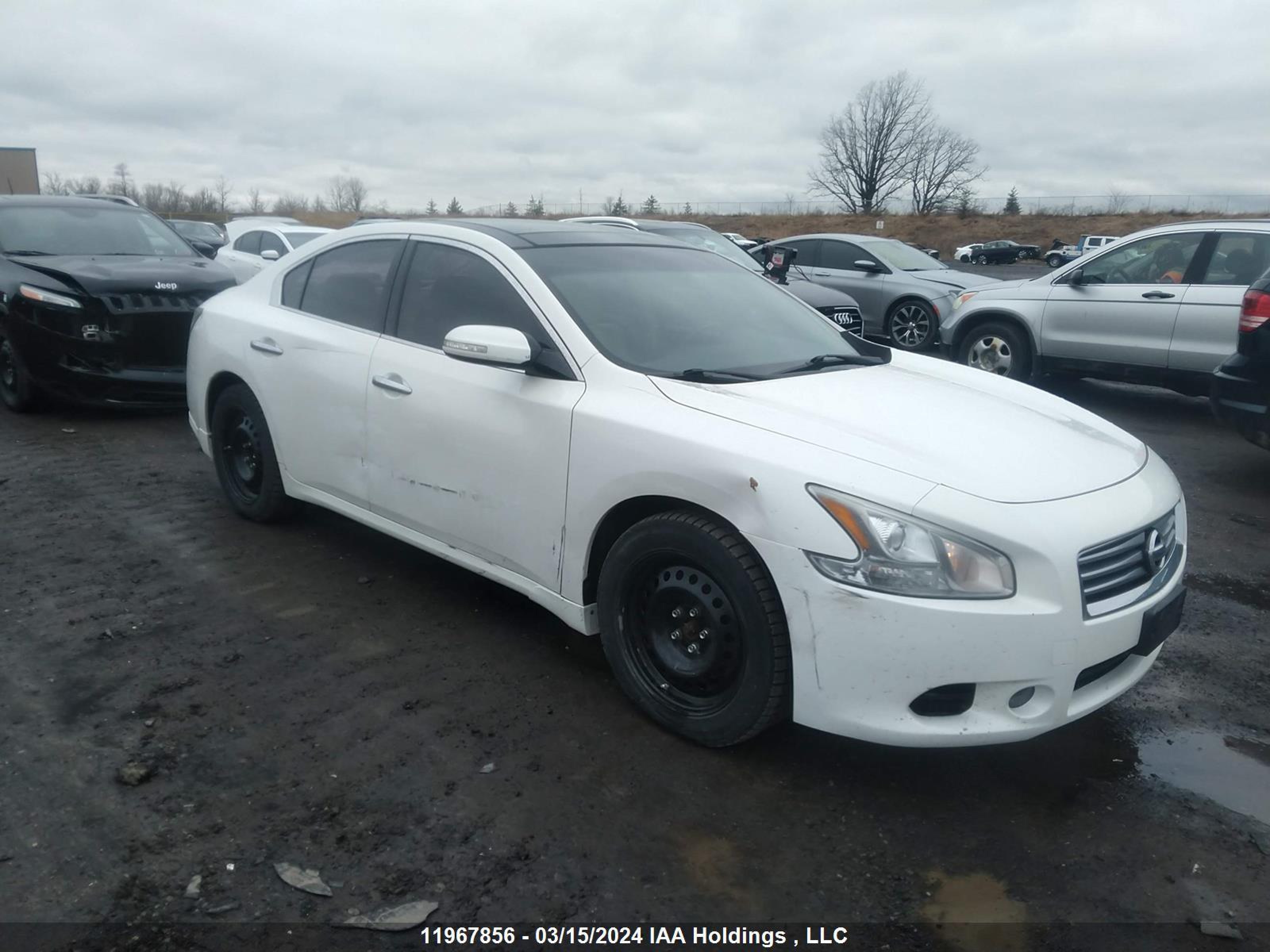 NISSAN MAXIMA 2013 1n4aa5ap1dc825968