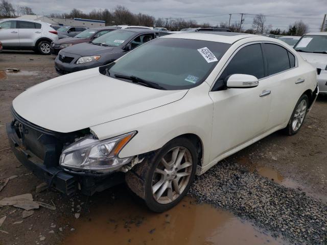 NISSAN MAXIMA 2010 1n4aa5ap2ac803005