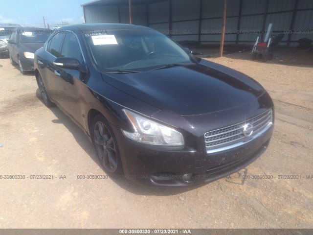 NISSAN MAXIMA 2010 1n4aa5ap2ac810083