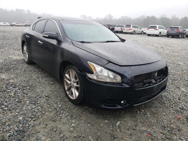 NISSAN MAXIMA 2010 1n4aa5ap2ac810181