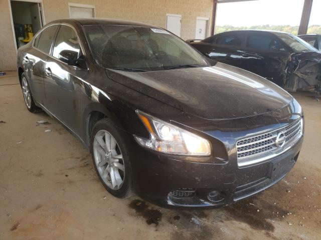 NISSAN MAXIMA S 2010 1n4aa5ap2ac813050