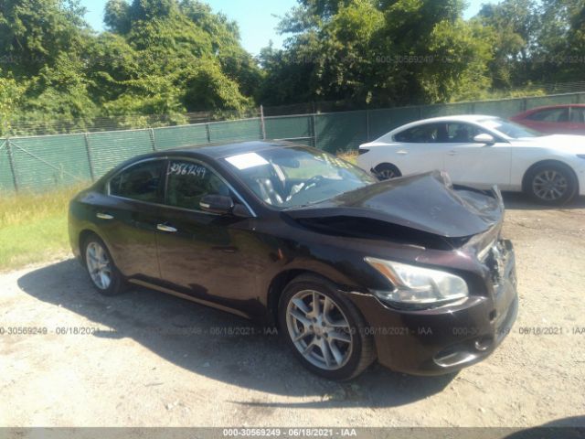 NISSAN MAXIMA 2010 1n4aa5ap2ac813677