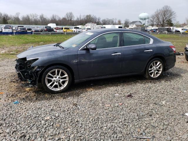 NISSAN MAXIMA 2010 1n4aa5ap2ac820211