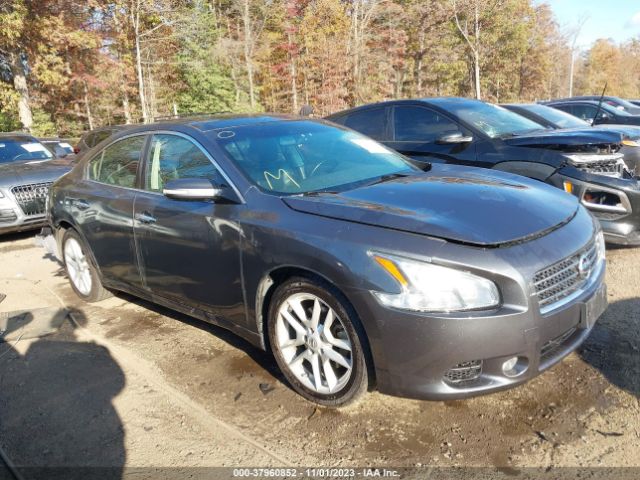 NISSAN MAXIMA 2010 1n4aa5ap2ac822069