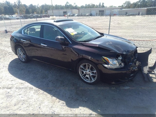 NISSAN MAXIMA 2010 1n4aa5ap2ac823626