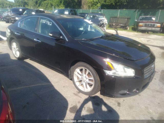 NISSAN MAXIMA 2010 1n4aa5ap2ac826588