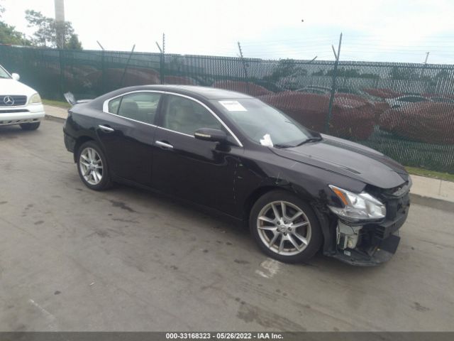 NISSAN MAXIMA 2010 1n4aa5ap2ac828163