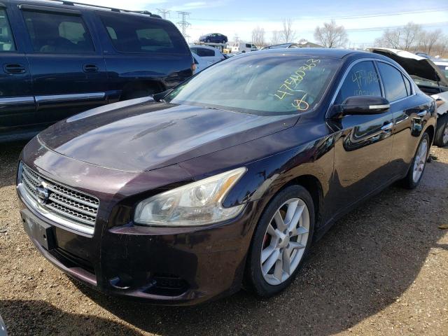 NISSAN MAXIMA S 2010 1n4aa5ap2ac828499