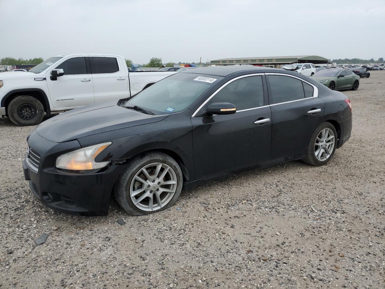 NISSAN MAXIMA 2010 1n4aa5ap2ac829636