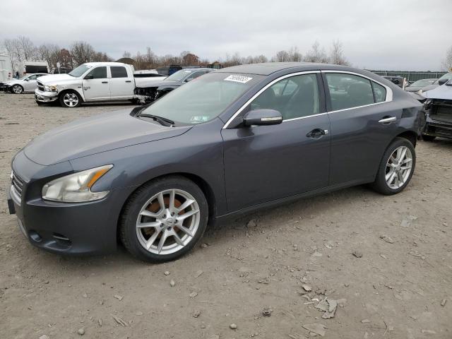 NISSAN MAXIMA 2010 1n4aa5ap2ac830821