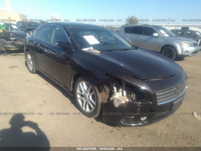 NISSAN MAXIMA 2010 1n4aa5ap2ac831449