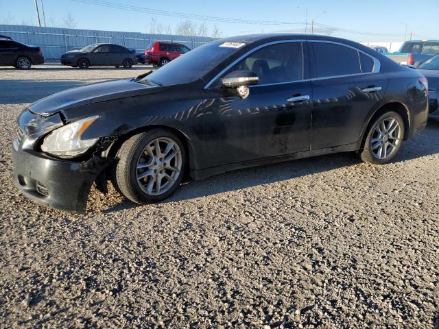 NISSAN MAXIMA 2010 1n4aa5ap2ac840037