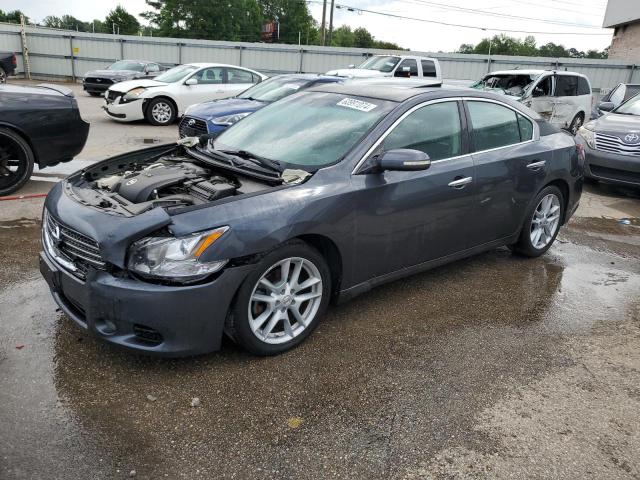 NISSAN MAXIMA 2010 1n4aa5ap2ac841706