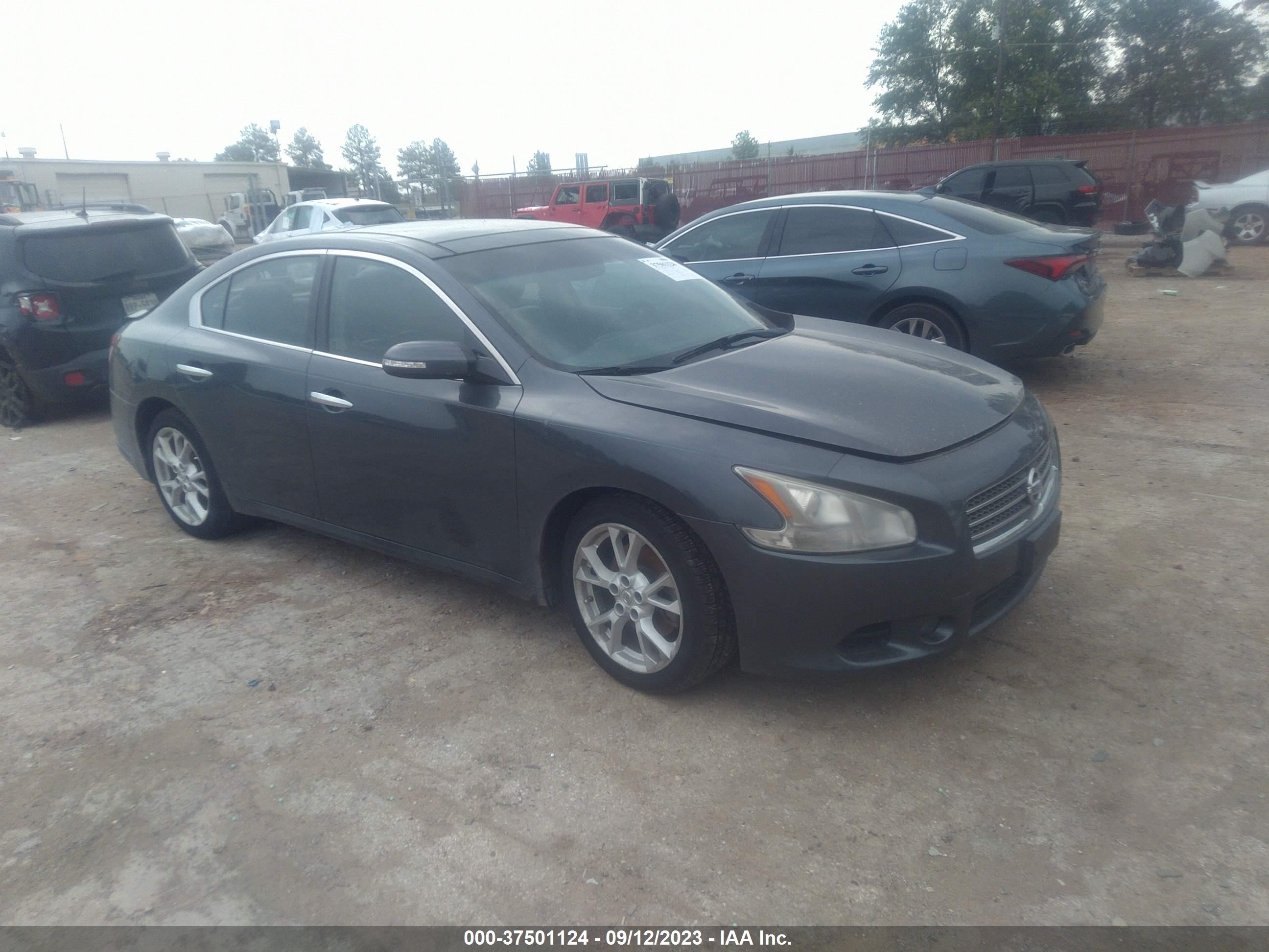 NISSAN MAXIMA 2010 1n4aa5ap2ac842127