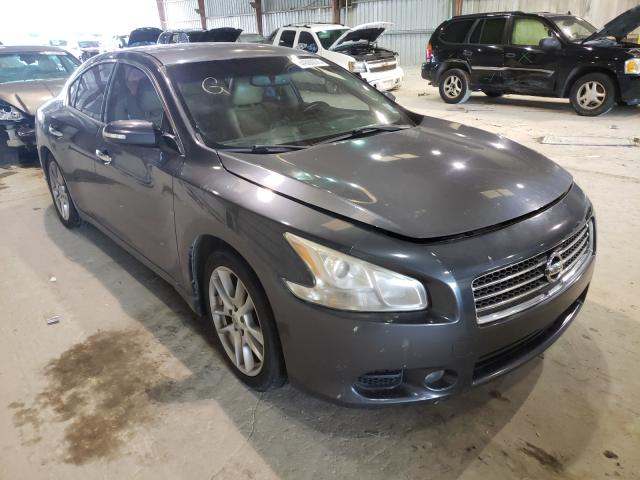 NISSAN MAXIMA S 2010 1n4aa5ap2ac845173