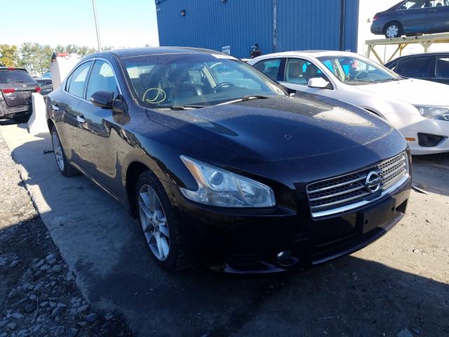 NISSAN MAXIMA S 2010 1n4aa5ap2ac846338