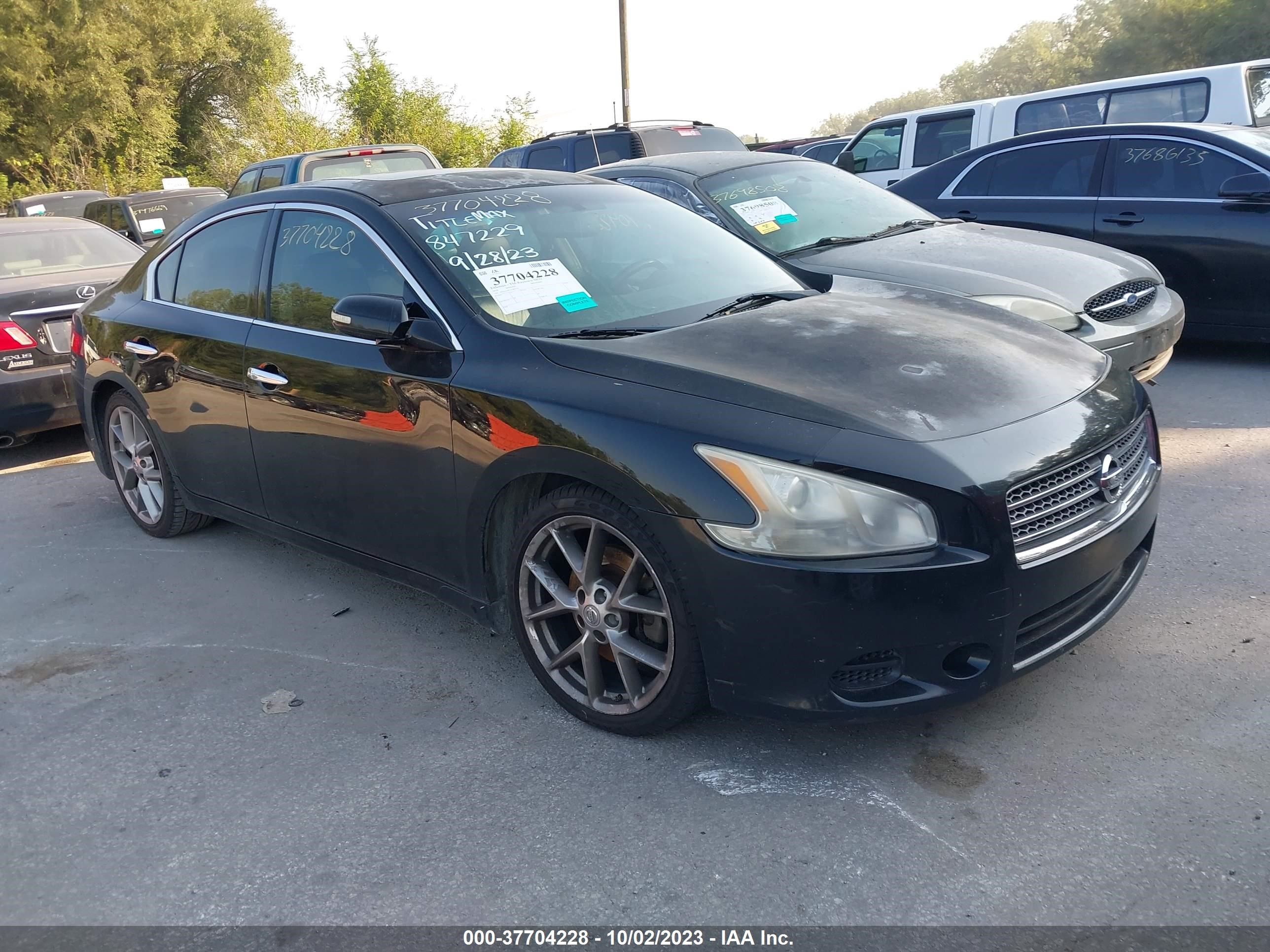 NISSAN MAXIMA 2010 1n4aa5ap2ac847229