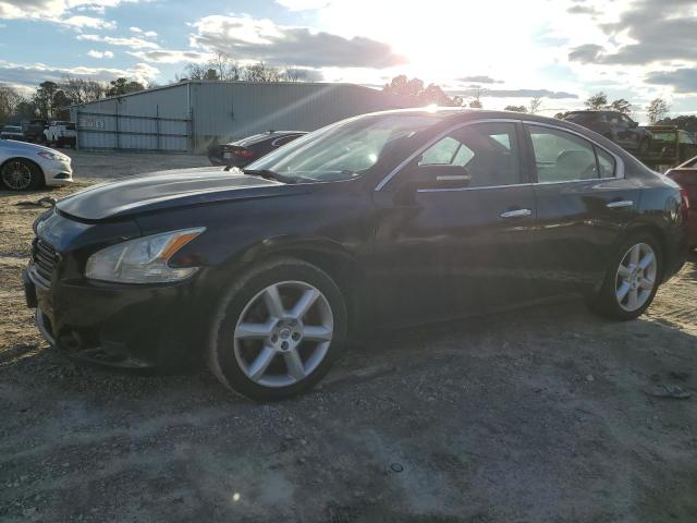 NISSAN MAXIMA 2010 1n4aa5ap2ac848719