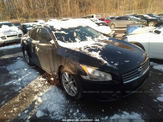 NISSAN MAXIMA 2010 1n4aa5ap2ac850406