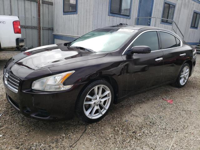 NISSAN MAXIMA S 2010 1n4aa5ap2ac855931