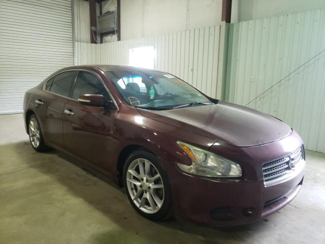 NISSAN MAXIMA S 2010 1n4aa5ap2ac861695