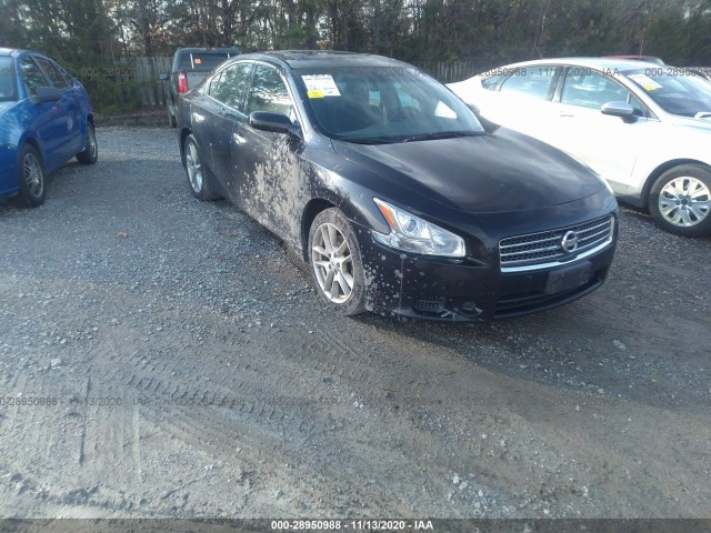 NISSAN MAXIMA 2010 1n4aa5ap2ac865116