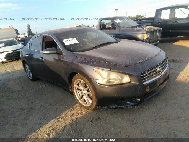 NISSAN MAXIMA 2010 1n4aa5ap2ac865150