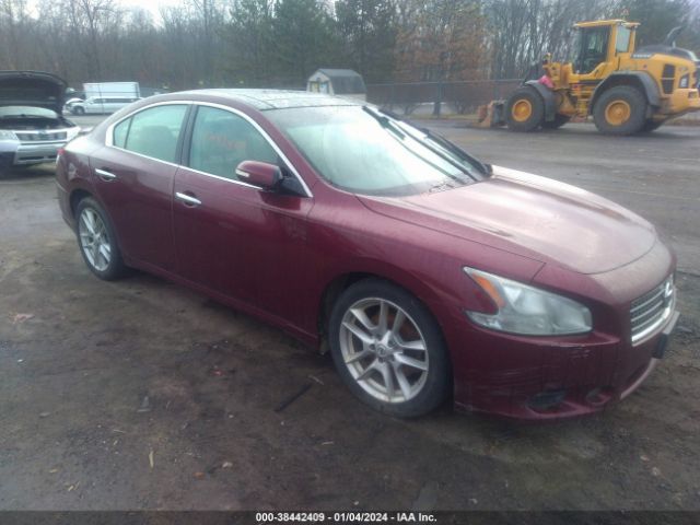 NISSAN MAXIMA 2011 1n4aa5ap2bc800381