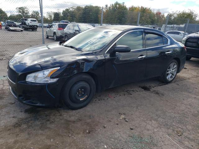 NISSAN MAXIMA 2011 1n4aa5ap2bc802731