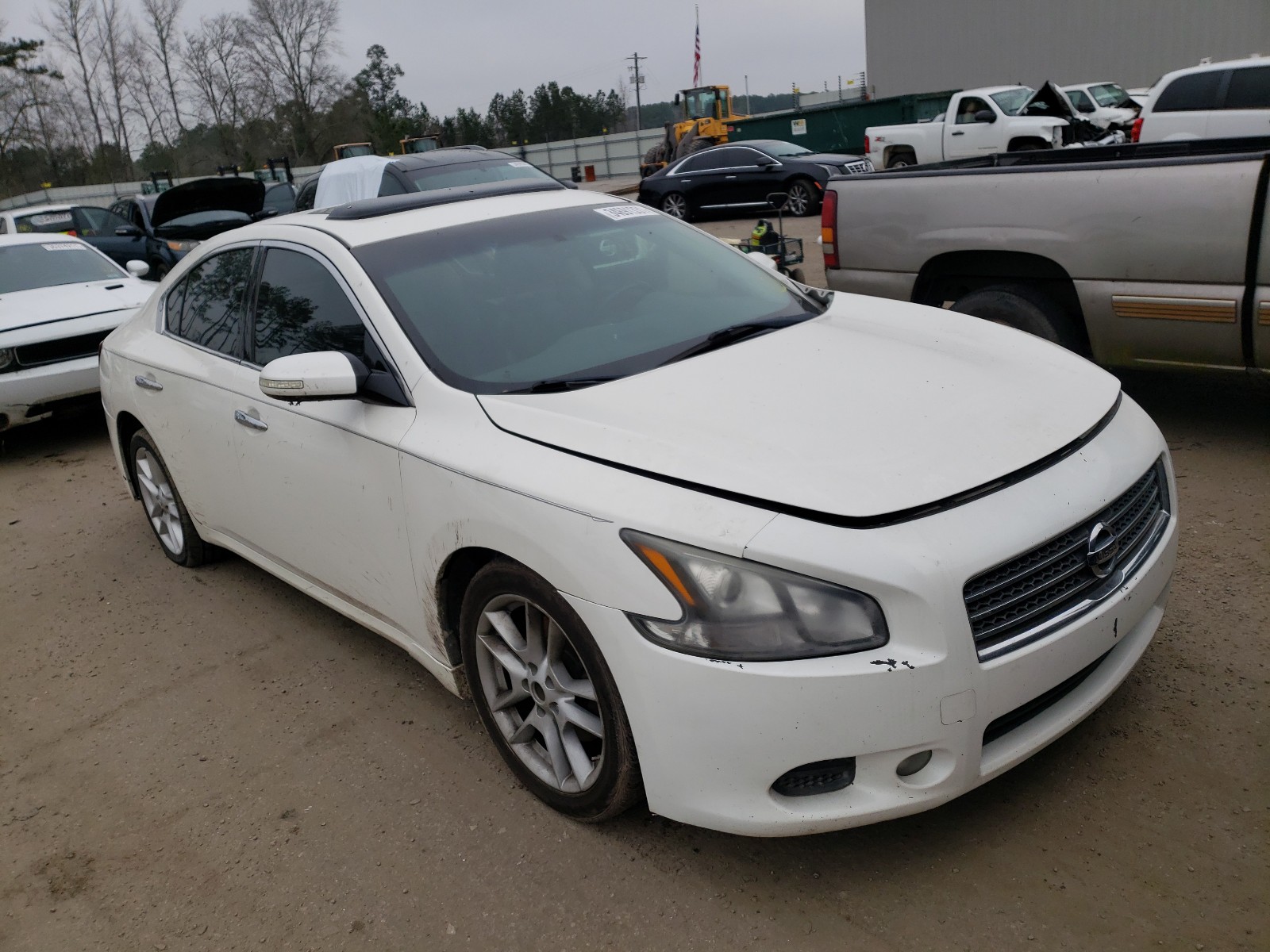 NISSAN MAXIMA 2011 1n4aa5ap2bc806262