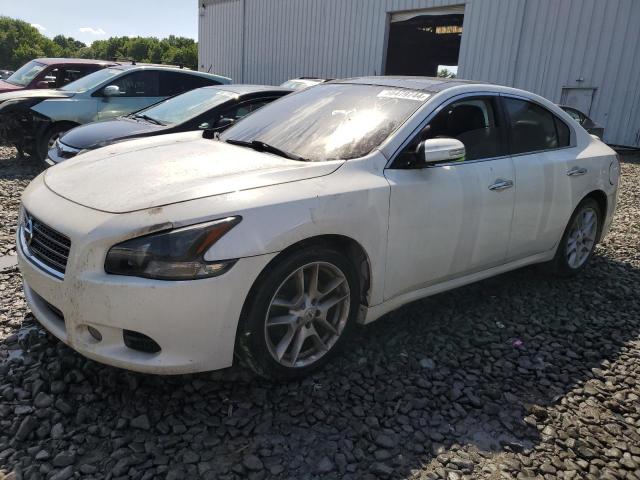 NISSAN MAXIMA 2011 1n4aa5ap2bc818802