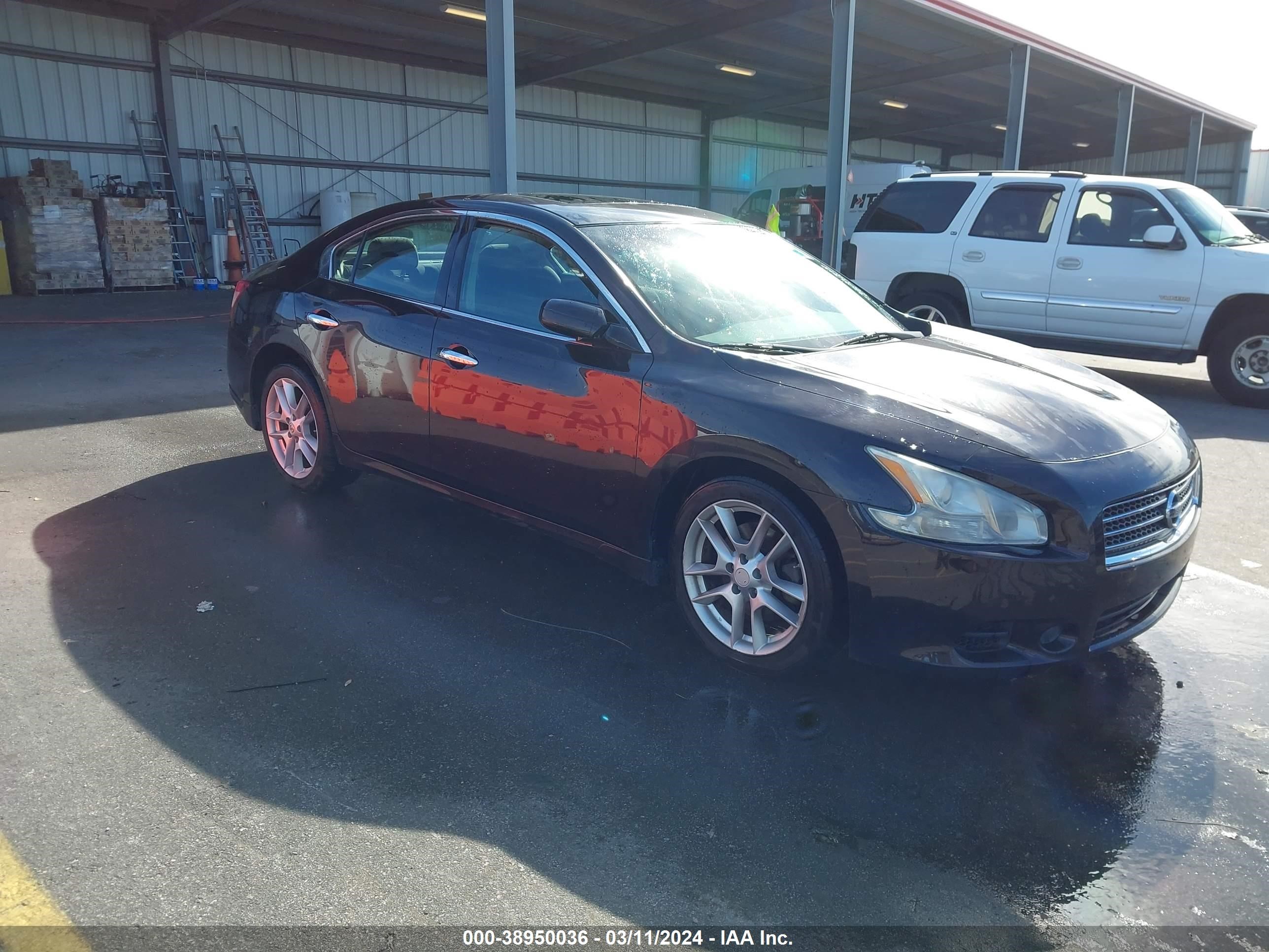 NISSAN MAXIMA 2011 1n4aa5ap2bc829718