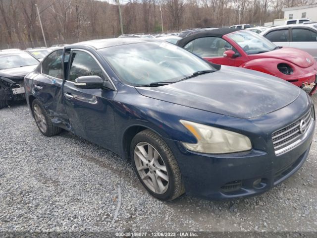 NISSAN MAXIMA 2011 1n4aa5ap2bc830352