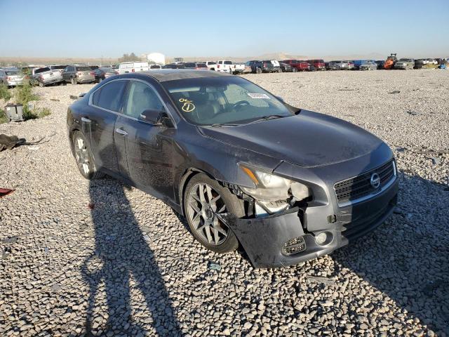 NISSAN MAXIMA S 2011 1n4aa5ap2bc835504