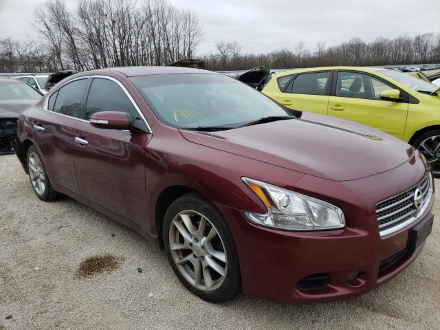 NISSAN MAXIMA 2011 1n4aa5ap2bc836149