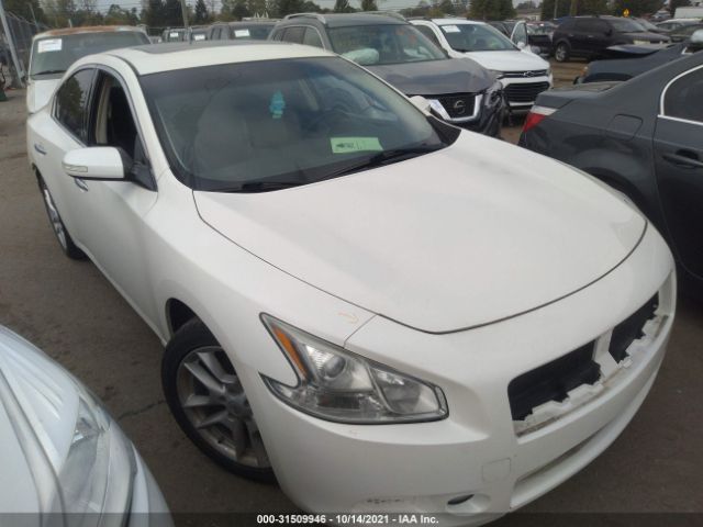 NISSAN MAXIMA 2011 1n4aa5ap2bc860497