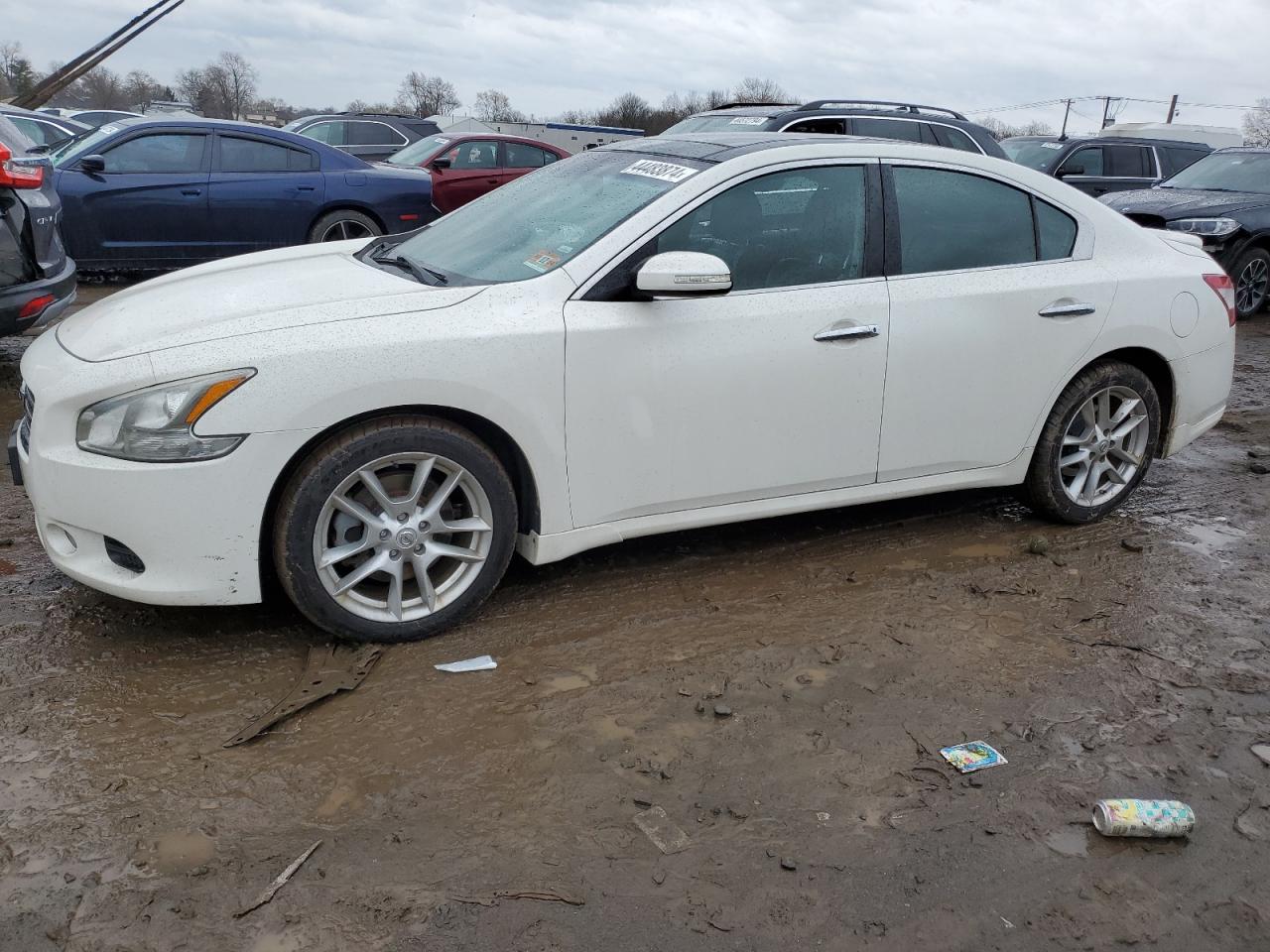 NISSAN MAXIMA 2011 1n4aa5ap2bc862637