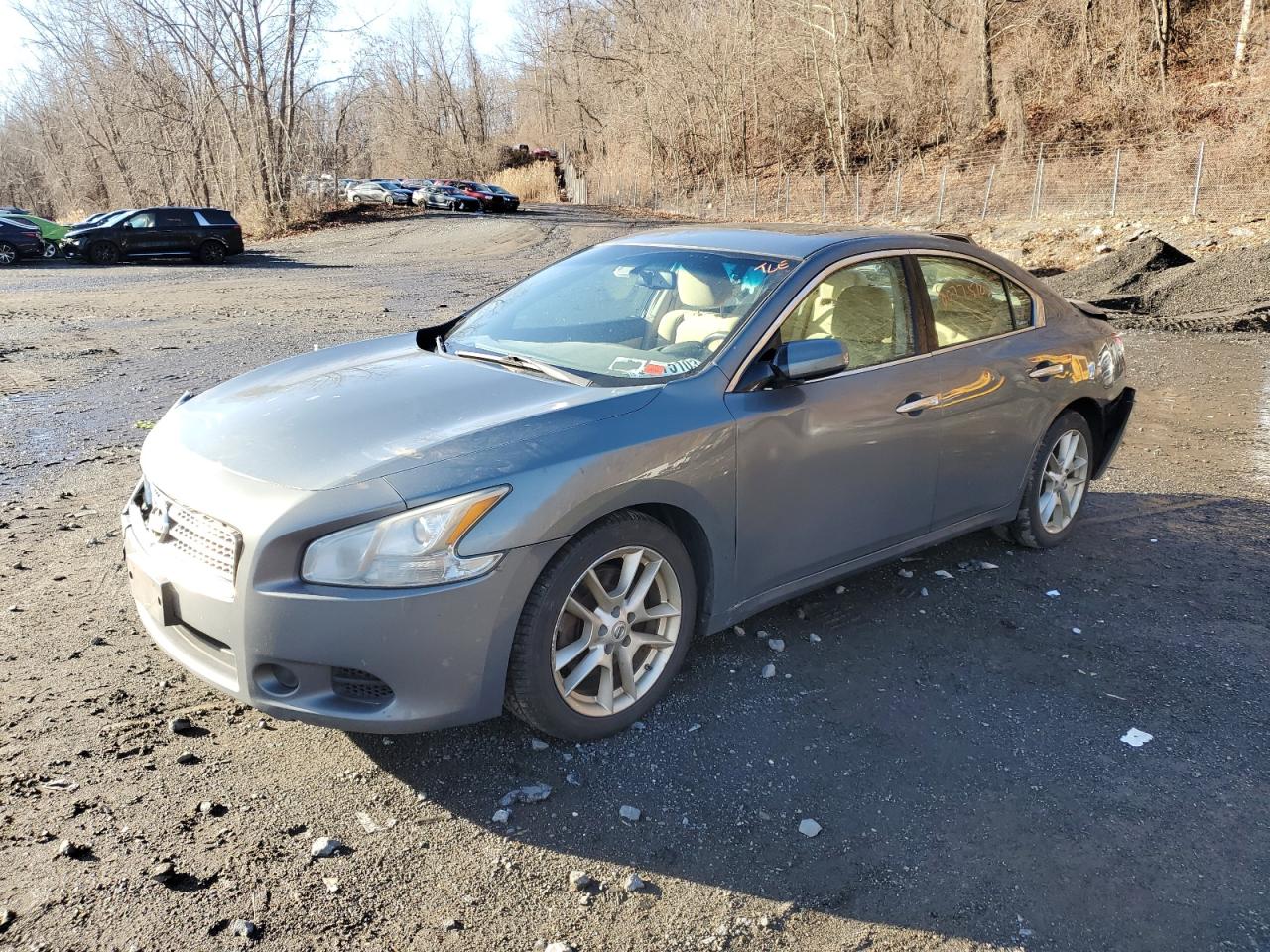 NISSAN MAXIMA 2011 1n4aa5ap2bc869801