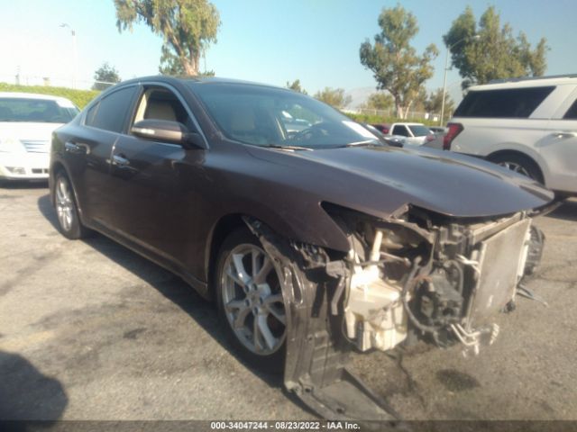 NISSAN MAXIMA 2013 1n4aa5ap2dc845209