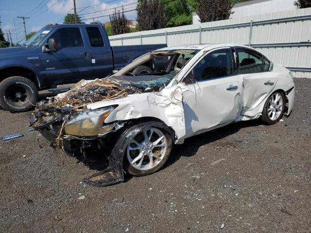 NISSAN MAXIMA S 2014 1n4aa5ap2ec909735