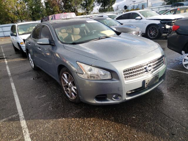 NISSAN MAXIMA S 2010 1n4aa5ap3ac802297