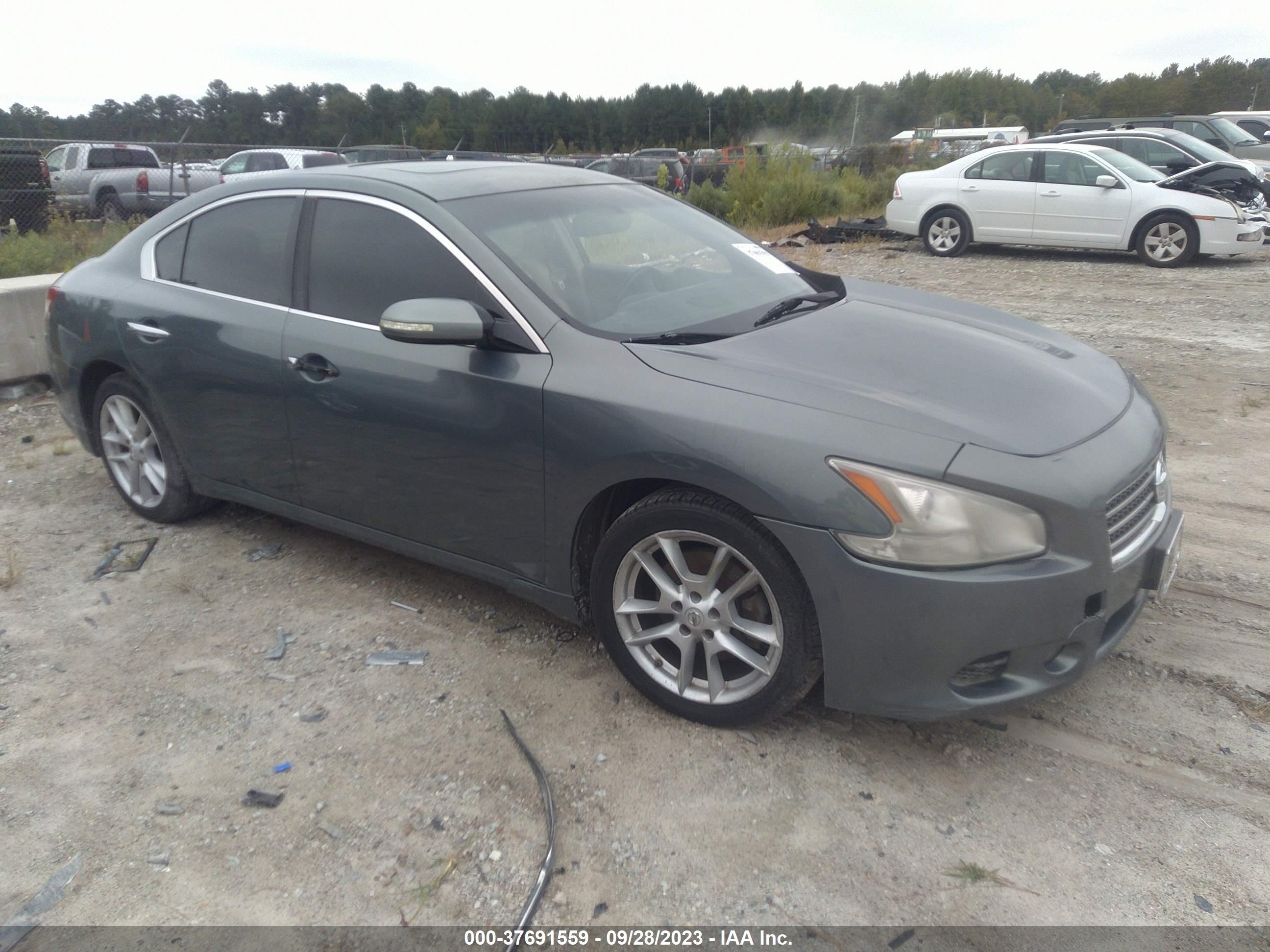 NISSAN MAXIMA 2010 1n4aa5ap3ac803269