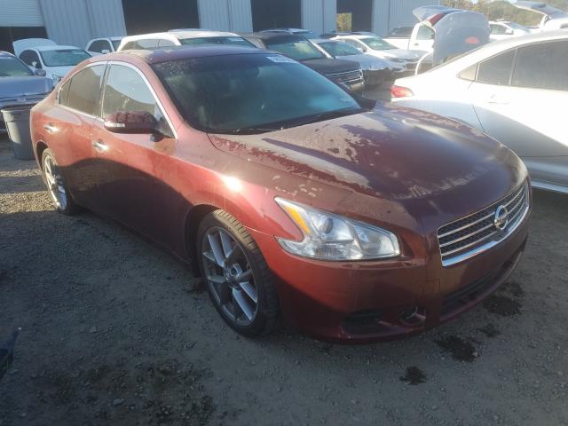 NISSAN MAXIMA S 2010 1n4aa5ap3ac804342