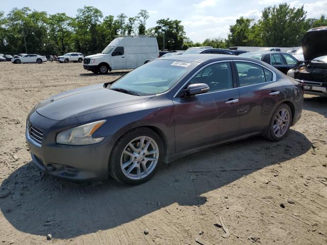 NISSAN MAXIMA 2010 1n4aa5ap3ac808164