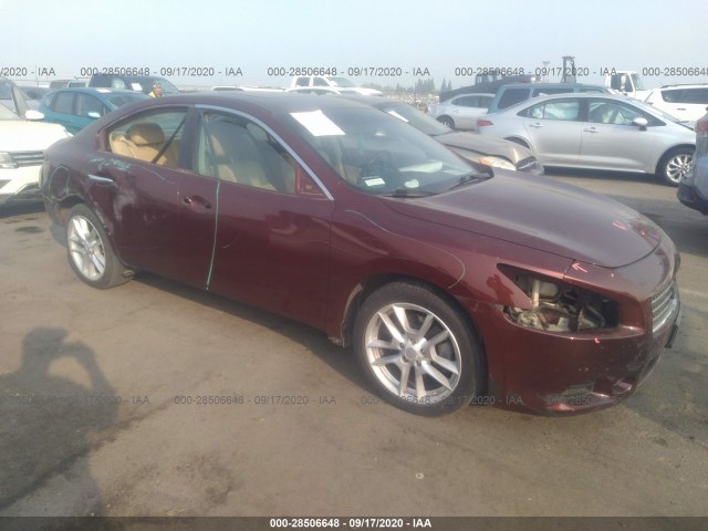 NISSAN MAXIMA 2010 1n4aa5ap3ac808262