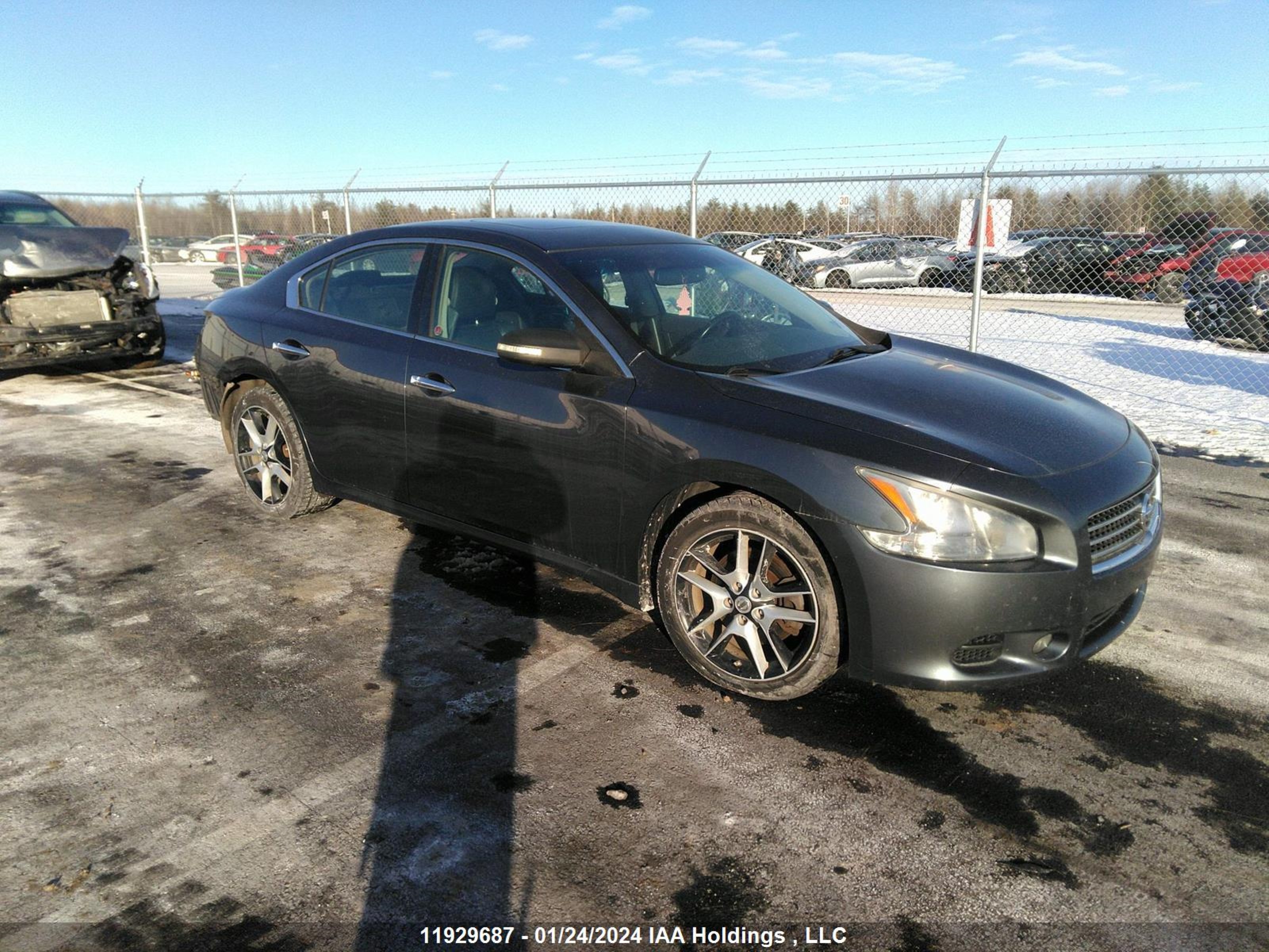 NISSAN MAXIMA 2010 1n4aa5ap3ac813610